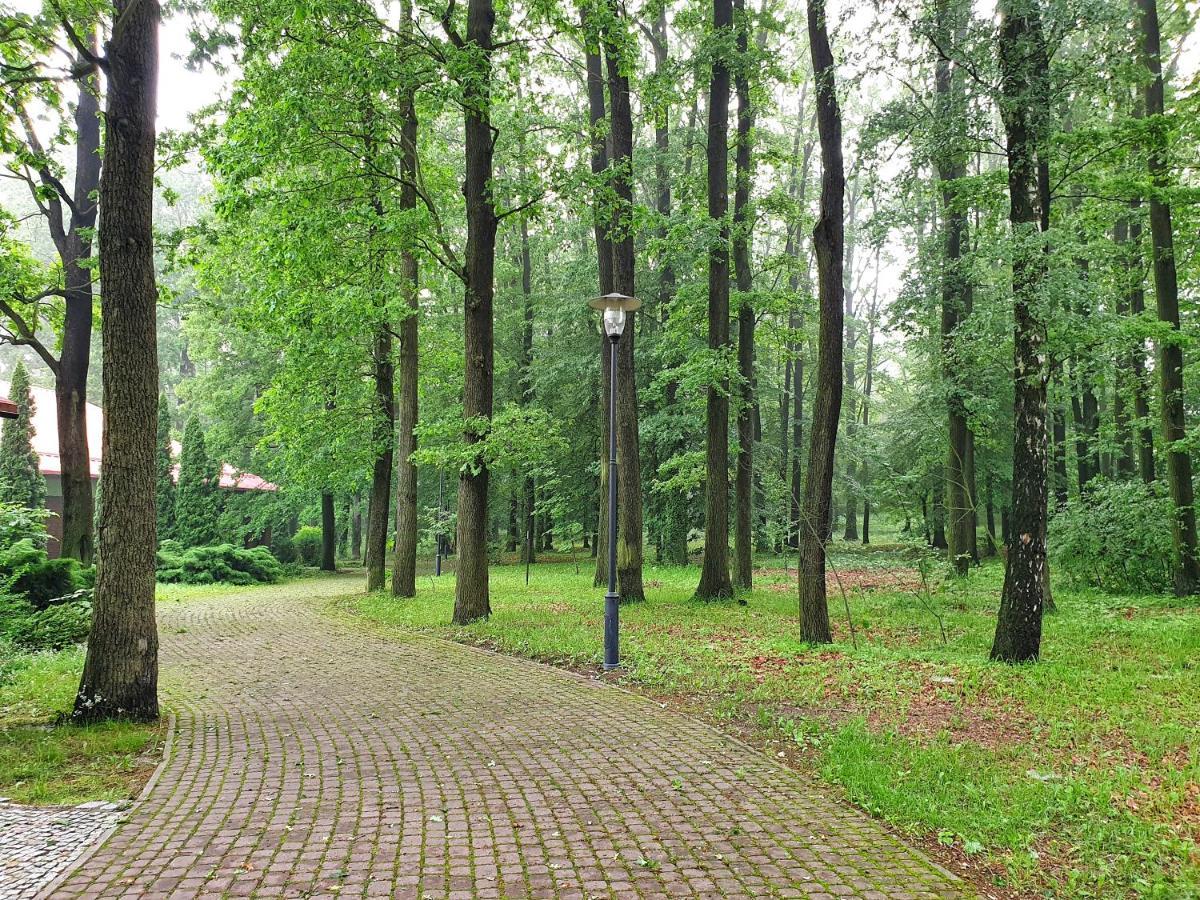 Stacja Nowa Gdynia Bed & Breakfast Aquapark Zgierz Bagian luar foto