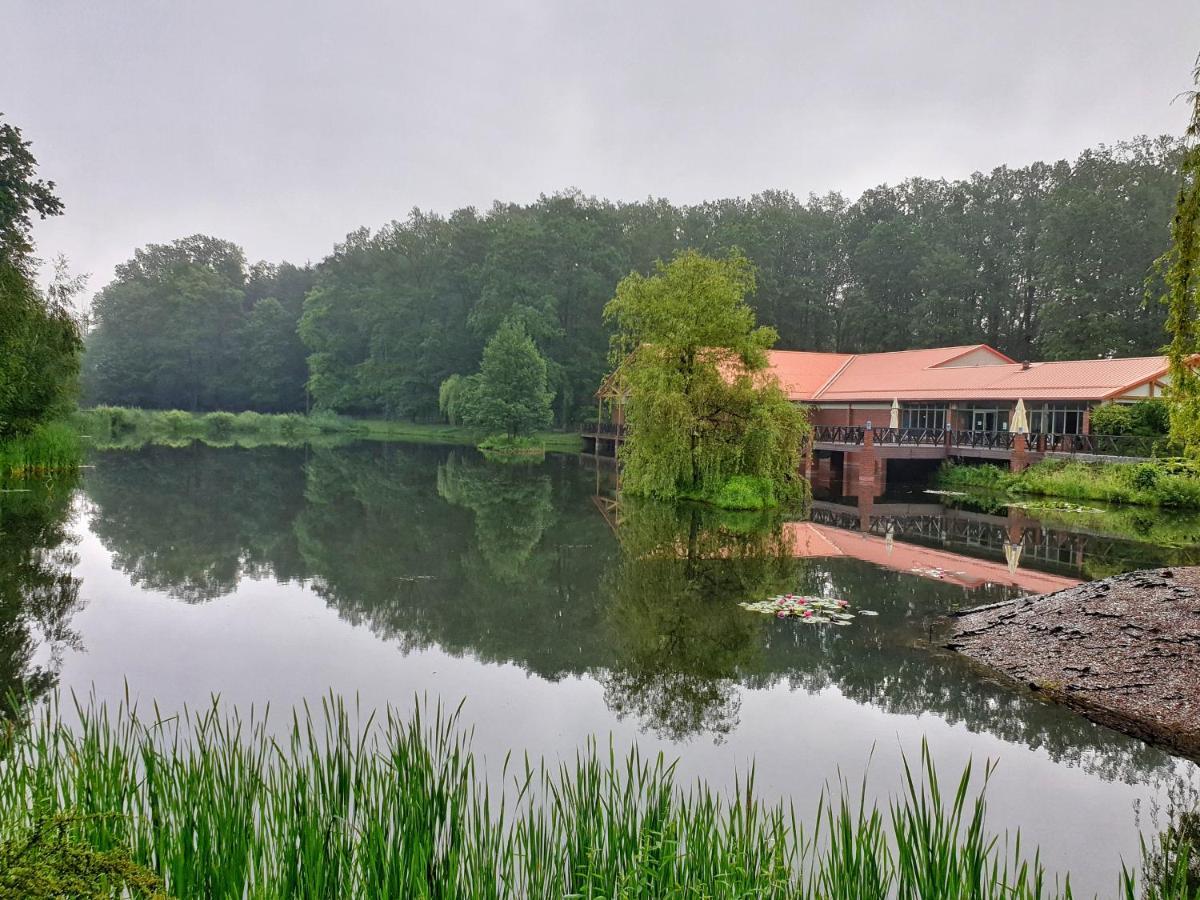 Stacja Nowa Gdynia Bed & Breakfast Aquapark Zgierz Bagian luar foto