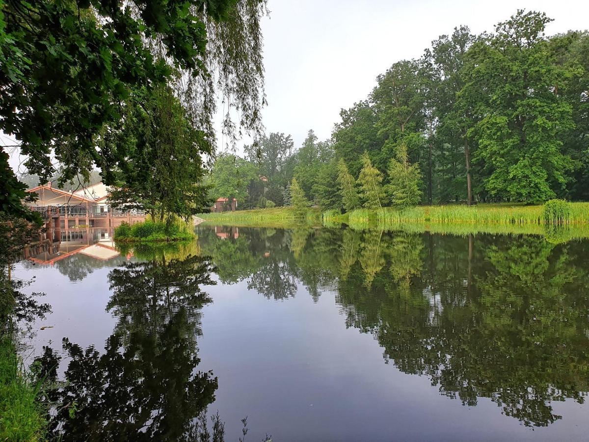 Stacja Nowa Gdynia Bed & Breakfast Aquapark Zgierz Bagian luar foto