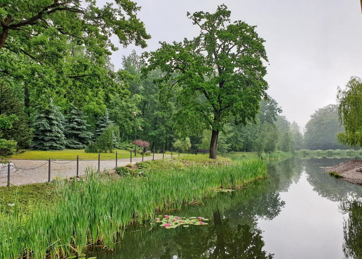 Stacja Nowa Gdynia Bed & Breakfast Aquapark Zgierz Bagian luar foto