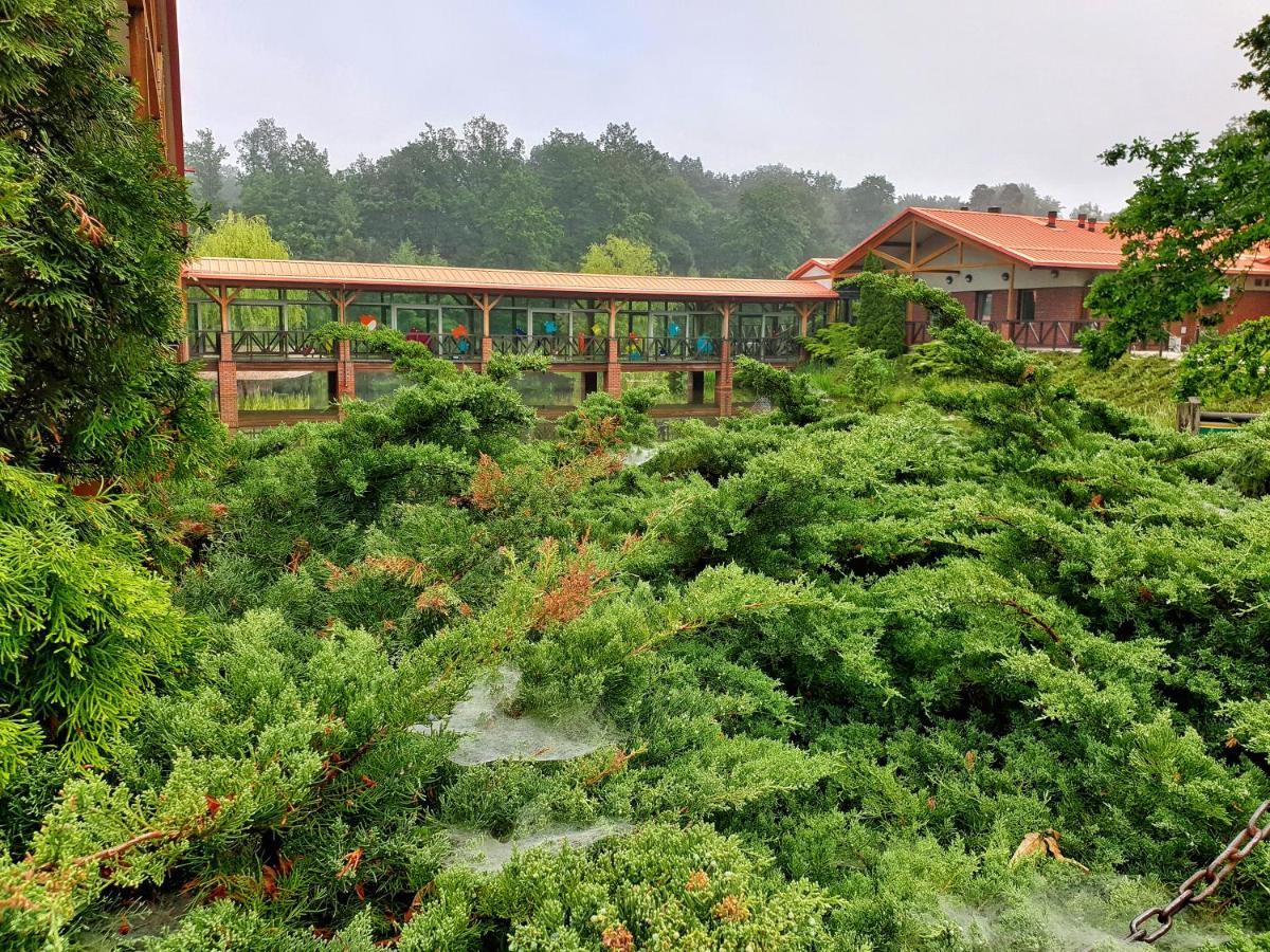 Stacja Nowa Gdynia Bed & Breakfast Aquapark Zgierz Bagian luar foto