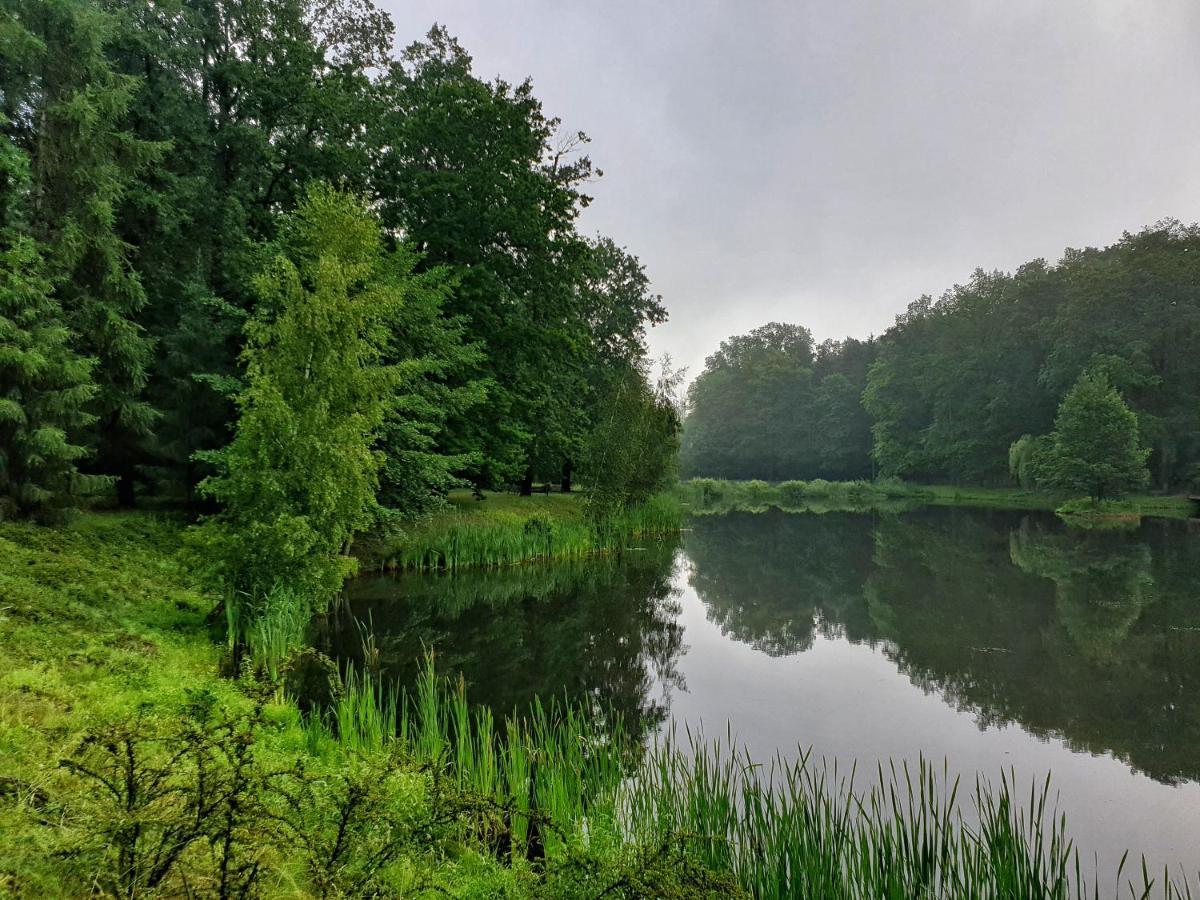 Stacja Nowa Gdynia Bed & Breakfast Aquapark Zgierz Bagian luar foto