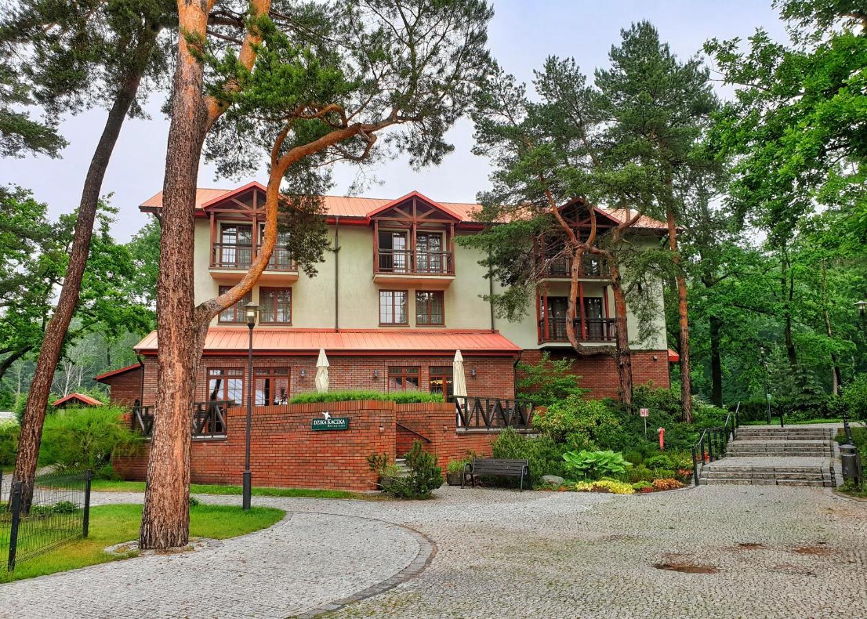Stacja Nowa Gdynia Bed & Breakfast Aquapark Zgierz Bagian luar foto