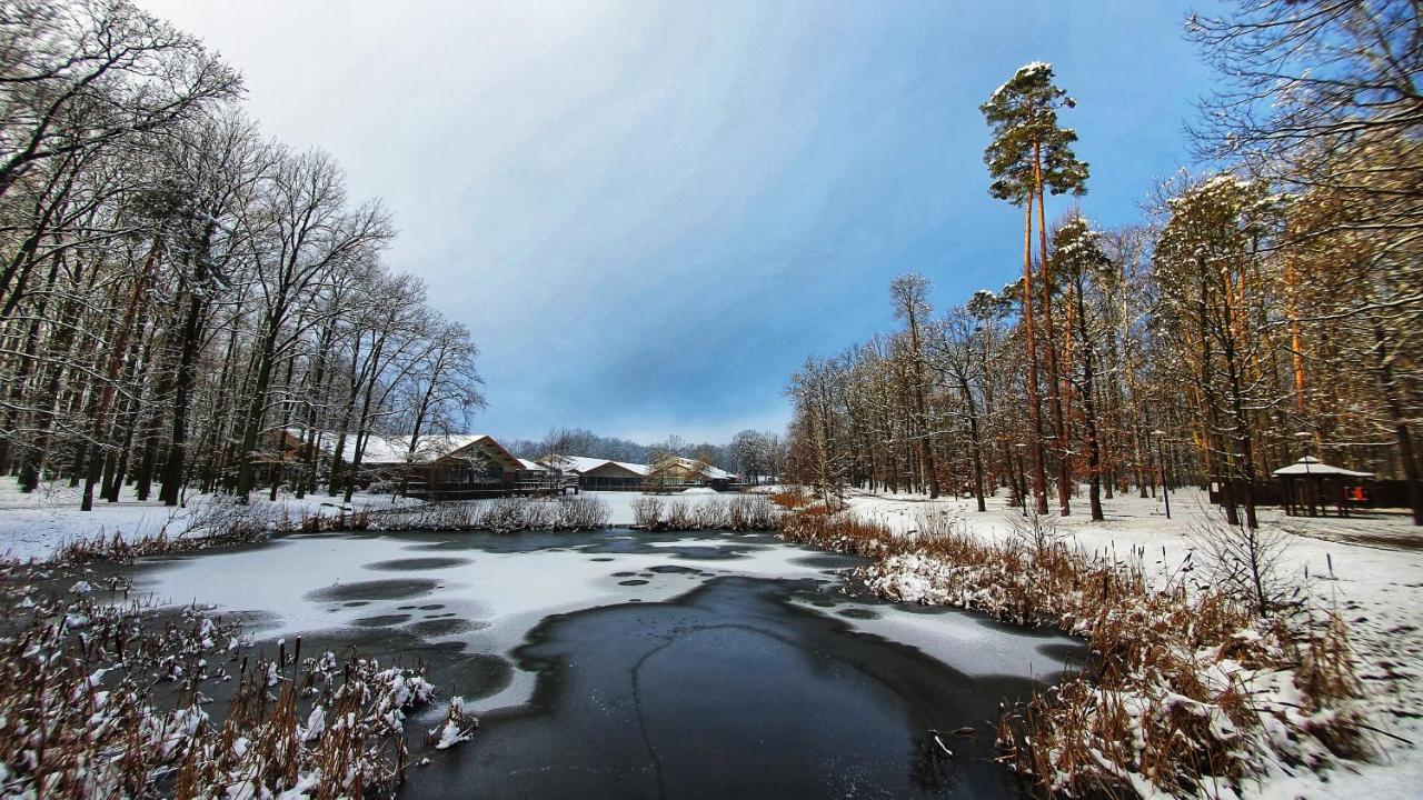Stacja Nowa Gdynia Bed & Breakfast Aquapark Zgierz Bagian luar foto