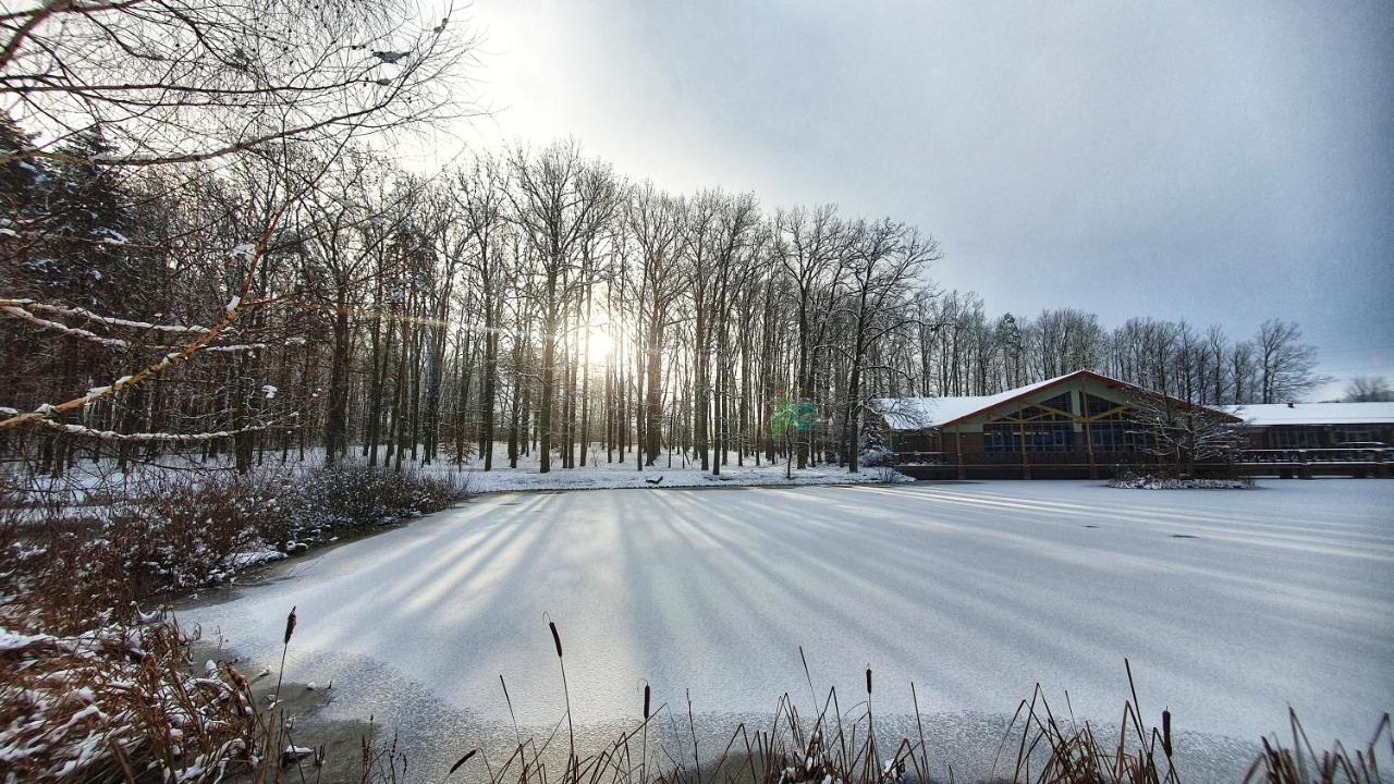 Stacja Nowa Gdynia Bed & Breakfast Aquapark Zgierz Bagian luar foto