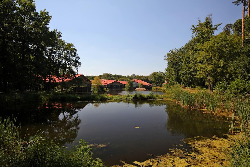 Stacja Nowa Gdynia Bed & Breakfast Aquapark Zgierz Bagian luar foto